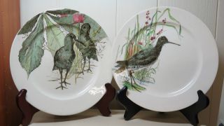 Doultons,  Burslem Porcelain Plates (2) W/birds Signed photo