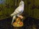Life Size Blue Parakeet Figurine - Porcelain ? - Great Detailing - Cute Figurines photo 1