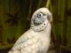 Life Size Blue Parakeet Figurine - Porcelain ? - Great Detailing - Cute Figurines photo 2
