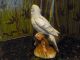 Life Size Blue Parakeet Figurine - Porcelain ? - Great Detailing - Cute Figurines photo 4