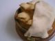Vintage Capodimonte Antique Small Figurines Htf Figurines photo 5