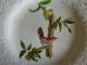Alfred Meakin Birds Of America Dish Sets Cups & Saucers photo 2