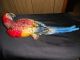 Vintage,  Parrot Made From Cast Iron And Hand Painted Metalware photo 1