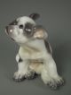 Dahl Jensen Copenhagen Porcelain Puppy Dog Figurine 1098 Figurines photo 6