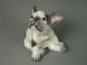 Dahl Jensen Copenhagen Porcelain Puppy Dog Figurine 1098 Figurines photo 7
