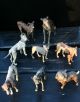 Attention Collectors: Unique Group Of 8 Antique Cold - Painted Vienna Bronze Dogs Metalware photo 1