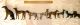 Attention Collectors: Unique Group Of 8 Antique Cold - Painted Vienna Bronze Dogs Metalware photo 3