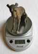 Attention Collectors: Unique Group Of 8 Antique Cold - Painted Vienna Bronze Dogs Metalware photo 4