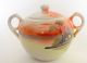 Takito Porcelain Tea Set 14 Piece,  Handpainted Lake,  House,  Sunset Scene Teapots & Tea Sets photo 3