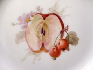 19th C.  Kpm Porcelain Berlin Reticulated Hand Painted Fruit Plate Wood Apple photo