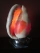 Antique Seashell Nightlite,  Over 100 Years Old From Professor ' S Estate Lamps photo 1