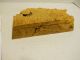 Classic Burled Wood Box Jewelry Box Bird ' S Eye Maple By Michael Elkan 10 