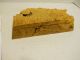 Classic Burled Wood Box Jewelry Box Bird ' S Eye Maple By Michael Elkan 10 