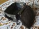 Old Dresden: Friedrich August Brucke Metal Box Bullet Shot In Ww2 Metalware photo 5