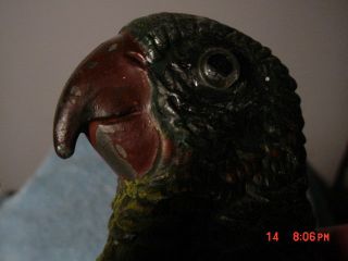 Parrot Spelter ? Bird Statue Vienna Bronze ?victorian Price Reduced - On Sale photo