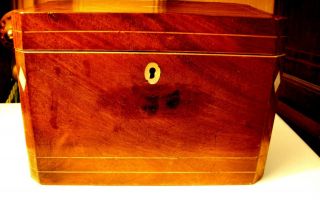 George Iv Mahogany Box Form Tea Caddy With Stringing C 1820 - 1830 photo
