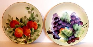 6 Lorenz Hutschenreuther Hand Painted Antique Plates Collector Plates photo