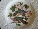 Alfred Meakin Birds Of America Dish Sets Cups & Saucers photo 1