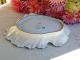 Antique C.  Tielsch German Porcelain Dish Bowl Roses Gold Gilt Platters & Trays photo 5