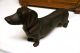 Vtg.  Dachshund Weiner Dackel Dog Wood Carved Black Forest German Figure Figurine Carved Figures photo 8