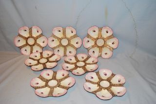 Oyster Plates Dishes Set Of 7 9.  5 