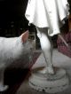 Antique Cavalier Metal Statue Family Heirloom Museum Quality Almost 3 ' Tall Metalware photo 5