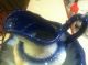 Vintage Large Blue & White Pitcher Bowl Wash Stand. . Pitchers photo 3