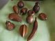 11 Pieces Of Vintage Wood Carved Fruit Carved Figures photo 1