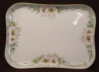 Tressemanes & Vogt Hd Pt Wild Roses Porcelain Dresser Tray Plate C 1911 photo
