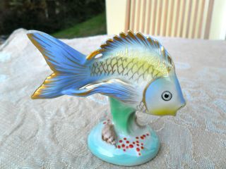 Drasche Porcelain Fisch - Hand - Painted - Made In Hungary - 1950s photo
