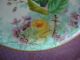 Victorian Hand Painted,  Raised Gilt,  Wedgwood Bone China Cabinet Plate Plates & Chargers photo 5