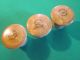Vintage French Wood Topped Corks (scientific/apothecary?) Set Of 3 Other photo 10