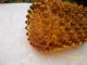 Antiique Amber Hobnail Sugar Shaker Wirh Top Other photo 1