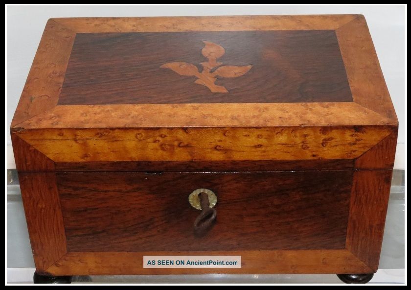 Antique Regency Walnut Birds Eye Maple Inlaid Tea Caddy Casket Box Nr Boxes photo