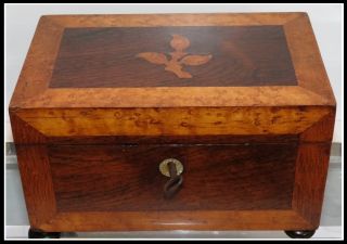 Antique Regency Walnut Birds Eye Maple Inlaid Tea Caddy Casket Box Nr photo