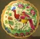 Chelsea / Samson Hand Painted Plate Of Large,  Vivid,  Colorful Exotic Bird.  Rare Plates & Chargers photo 1