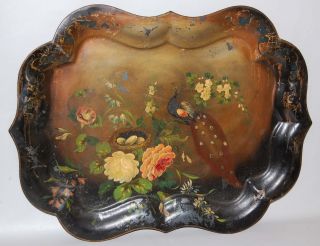 Antique Victorian Chippendale Handpainted Toleware / Tole Tray W Peacock & Nest photo