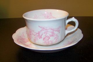 Antique Dresden Semi - Porcelain Cup And Saucer Pink Leaf And Flower Pattern photo