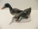 Rosenthal Pair Of Ducks 174 - Handgemalt Selb Germany Figurines photo 1
