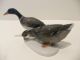 Rosenthal Pair Of Ducks 174 - Handgemalt Selb Germany Figurines photo 2