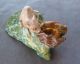 Alfred Jean Foretay Cold Painted Spelter Casting - The Rat & The Oyster - Signed Metalware photo 2
