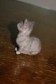 Royal Doulton Grey Kitten Figurine Figurines photo 1