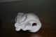 Royal Doulton Grey Kitten Figurine Figurines photo 2