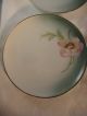 Antique Porcelain P.  V.  Germany Handpainted Poppy,  4 Dessert Plates Other photo 7