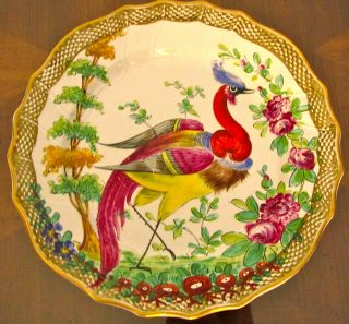 Antique Rare Chelsea / Samson Hand Painted Plate Of Vivid,  Colorful Exotic Bird. photo