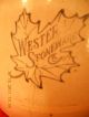 6 Gallon Crock Western Stoneware Co Maple Leaf 6 Blemishes,  Intact Fantastic Crocks photo 6