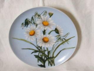 Antique Cfh Haviland Limoges China Daisies Plate,  Exc. ,  Look photo