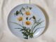 Antique Cfh Haviland Limoges China Daisies Plate,  Exc. ,  Look Plates & Chargers photo 3