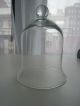 Vintage Dome Glass Display Bell Terrarium Lab Clock Taxidermy 7 