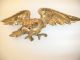 Antique American Carved Wooden Eagle Carved Figures photo 7